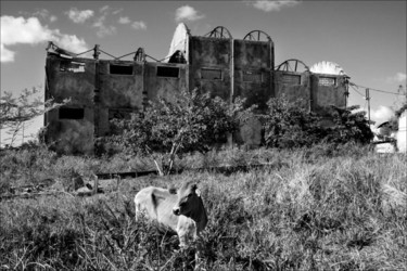 Photographie intitulée "usine" par Bernard Bosc, Œuvre d'art originale