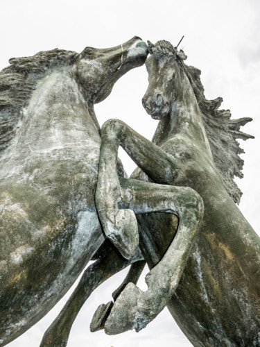Photographie intitulée "Le combat de chevaux" par Stéphane Maucci, Œuvre d'art originale