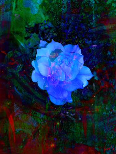 Arts numériques intitulée "Rose transparente" par Yve'S, Œuvre d'art originale, Travail numérique 2D