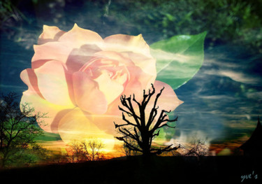 Digital Arts titled "La rose et l'arbre" by Yve'S, Original Artwork, 2D Digital Work
