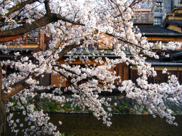 Fotografie getiteld "Kyoto. Shirakawa. 白…" door Iñaki Martinez De Arbulo, Origineel Kunstwerk, Digitale fotografie