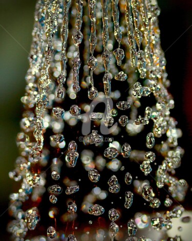 Photographie intitulée "Perles de pluie" par Inxau, Œuvre d'art originale
