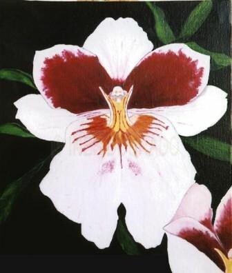 Painting titled "Orquidea (Orchid)" by Inês Dourado, Original Artwork, Oil Mounted on Wood Stretcher frame