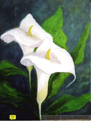 Painting titled "Jarros (Arum lily)" by Inês Dourado, Original Artwork, Oil