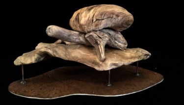 Скульптура под названием "Tortue de course" - Niwan Yod, Подлинное произведение искусства, Металлы