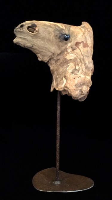 Sculpture intitulée "Bébé dromadaire" par Niwan Yod, Œuvre d'art originale