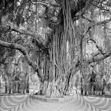 L'EGYPTE MONDAIN Photographie intitulée "L'EGYPTE MONDAIN" par Stefan Neubauer, Œuvre d'art originale, Photographie argentique Monté sur Alum…