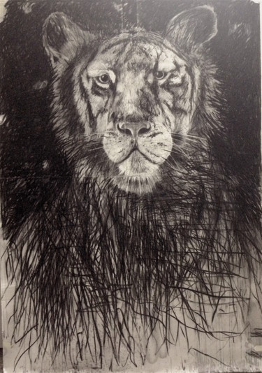 Painting titled "Liger" by Gaby Roter, Original Artwork, Chalk Mounted on Wood Panel