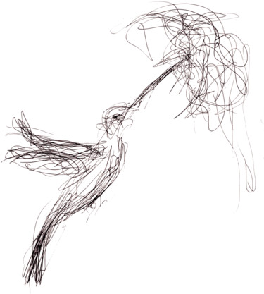 Drawing titled "Kolibri Kaos Strich…" by Güler Aytek Lök, Original Artwork, Ballpoint pen
