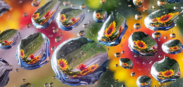 Photographie intitulée "Raindrops Flowers o…" par Ingrid Blaurock, Œuvre d'art originale, Photographie numérique