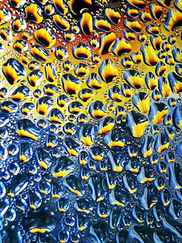 Fotografía titulada "Sun Flower Raindrops" por Ingrid Blaurock, Obra de arte original, Fotografía digital