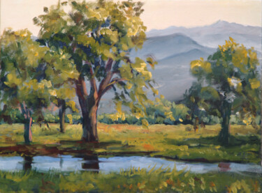 Peinture intitulée "Tucson Rainy Day" par Ingrid Dohm, Œuvre d'art originale, Huile