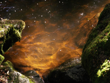 Photographie intitulée "Trésor caché" par Ingrid Johann, Œuvre d'art originale