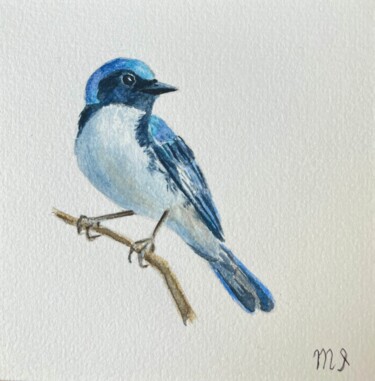 Pintura titulada "Watercolor bird pai…" por Inna Martynenko, Obra de arte original, Acuarela