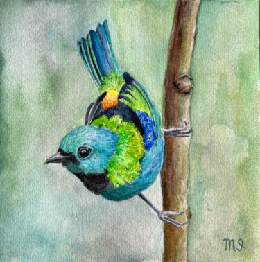 Painting titled "Green Headed Tanage…" by Inna Martynenko, Original Artwork, Watercolor