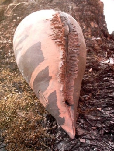 Sculpture intitulée "Vulve 21  Céline Bo…" par Empreintes Intimes, Œuvre d'art originale, Céramique