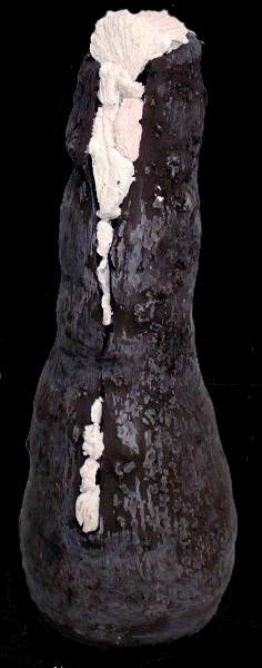 Sculpture intitulée "Phallus 3  Céline B…" par Empreintes Intimes, Œuvre d'art originale, Céramique