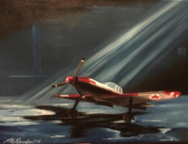 Painting titled "WW airplane" by Mihai Ionescu, Original Artwork, Oil