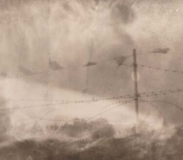 Фотография под названием "Like a birds" - Ира Коломинова, Подлинное произведение искусства, Пленочная фотография