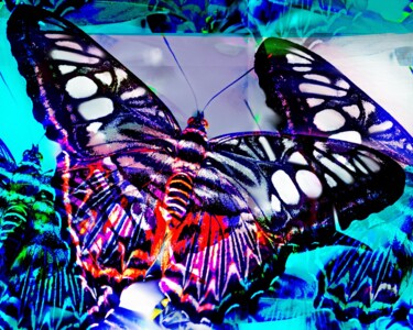Peinture intitulée "Butterfly 1" par Ira Tsantekidou, Œuvre d'art originale, Peinture numérique
