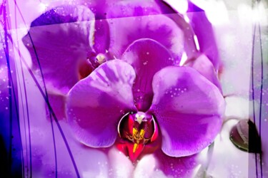 Картина под названием "Orchid 1" - Ira Tsantekidou, Подлинное произведение искусства, Цифровая живопись