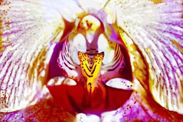 Картина под названием "Orchid 2" - Ira Tsantekidou, Подлинное произведение искусства, Цифровая живопись