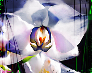 Painting titled "Orchid 11" by Ira Tsantekidou, Original Artwork, Digital Painting