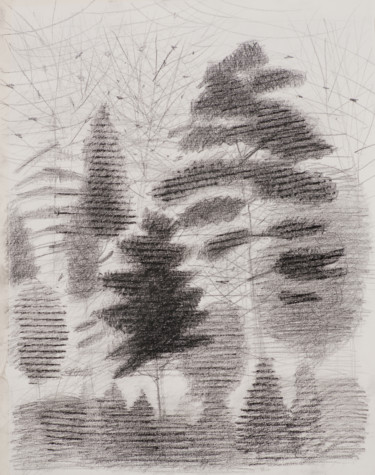 Drawing titled "Amazing forest" by Irena Luse, Original Artwork, Graphite