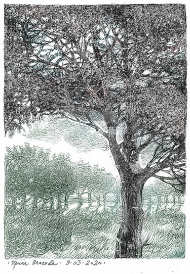 Tekening getiteld "Tree." door Irene Vlassova, Origineel Kunstwerk, Inkt