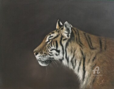 Drawing titled "Tiger portrait" by Irene_art, Original Artwork, Pastel