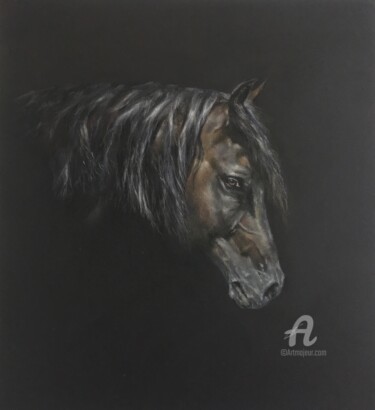 Dessin intitulée "Portrait de cheval" par Irene_art, Œuvre d'art originale, Pastel