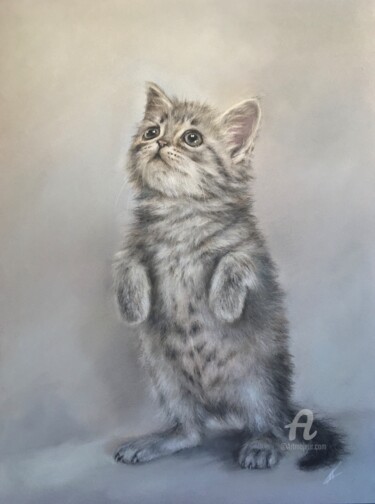 Dessin intitulée "Little kitten" par Irene_art, Œuvre d'art originale, Pastel