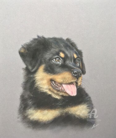 Drawing titled "Puppy portrait" by Irene_art, Original Artwork, Pastel