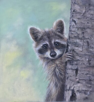 Desenho intitulada "Funny raccoon" por Irene_art, Obras de arte originais, Pastel