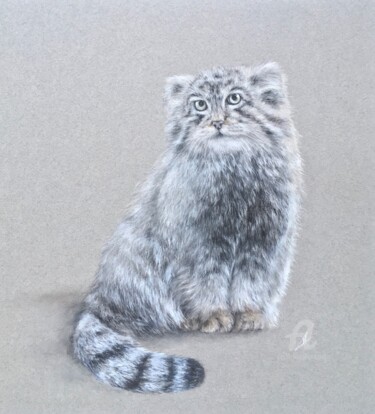 Dessin intitulée "Manul cat" par Irene_art, Œuvre d'art originale, Pastel
