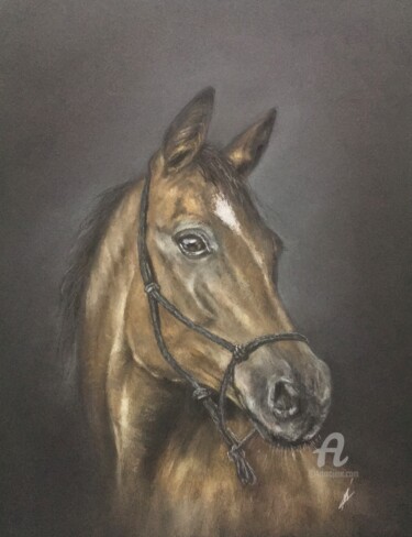 Dibujo titulada "Horse portrait" por Irene_art, Obra de arte original, Pastel