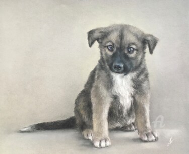 Drawing titled "Puppy" by Irene_art, Original Artwork, Pastel