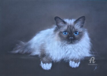 Рисунок под названием "Siamese cat" - Irene_art, Подлинное произведение искусства, Пастель