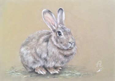Disegno intitolato "Rabbit. Pastel." da Irene_art, Opera d'arte originale, Pastello