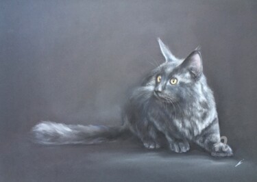 Disegno intitolato "Serious cat" da Irene_art, Opera d'arte originale, Matita
