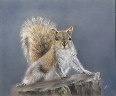Рисунок под названием "Cute squirrel" - Irene_art, Подлинное произведение искусства, Пастель