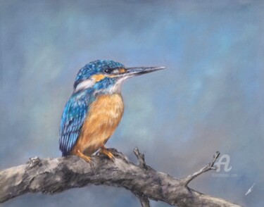 Drawing titled "Kingfisher - 2" by Irene_art, Original Artwork, Pastel