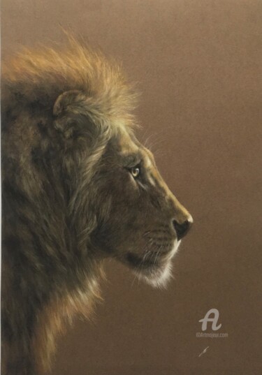 Desenho intitulada "Lion portrait" por Irene_art, Obras de arte originais, Pastel