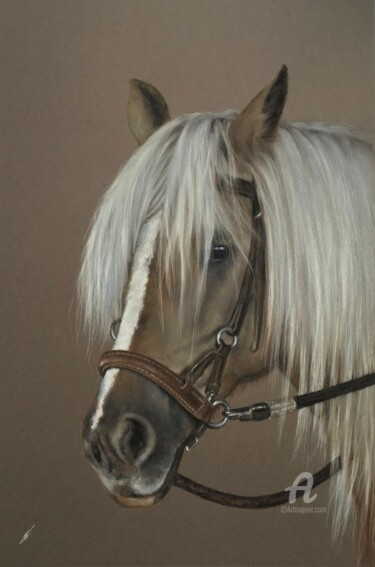 Tekening getiteld "Horse" door Irene_art, Origineel Kunstwerk, Pastel