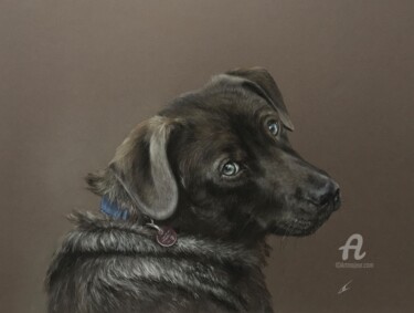 Drawing titled "Look" by Irene_art, Original Artwork, Pastel