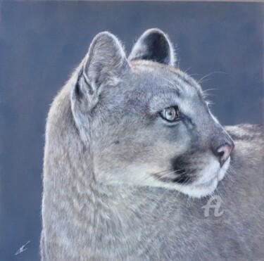 Dessin intitulée "Puma" par Irene_art, Œuvre d'art originale, Pastel