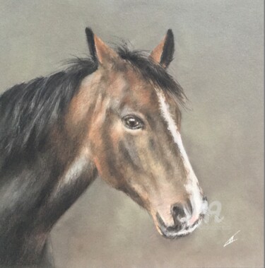 Drawing titled "Small horse portrait" by Irene_art, Original Artwork, Pastel