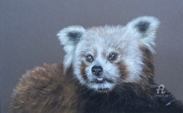 Dessin intitulée "Red panda" par Irene_art, Œuvre d'art originale, Pastel