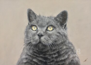 Рисунок под названием "Fat cat portrait" - Irene_art, Подлинное произведение искусства, Пастель