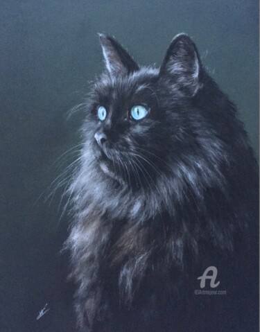 Rysunek zatytułowany „Cat-model” autorstwa Irene_art, Oryginalna praca, Pastel